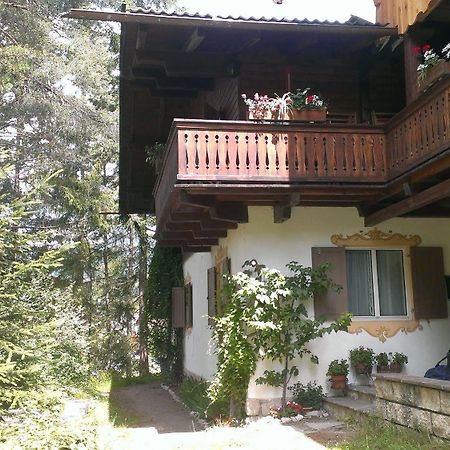 B&B Villa Dolomites Hut サン・ヴィジリオ・ディ・マレッベ エクステリア 写真