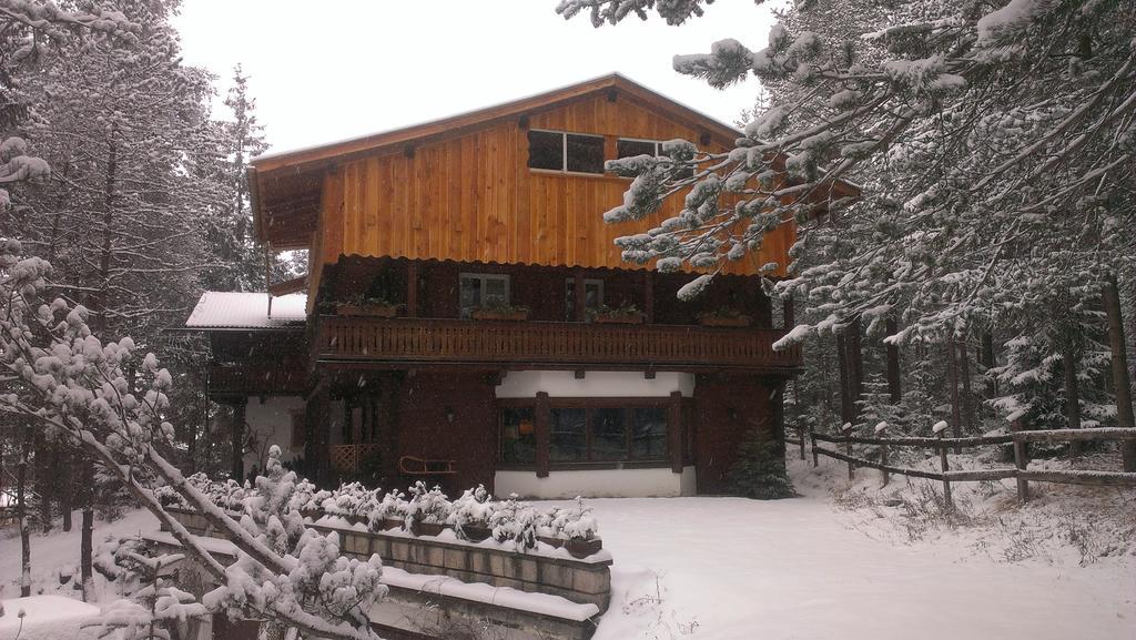 B&B Villa Dolomites Hut サン・ヴィジリオ・ディ・マレッベ エクステリア 写真