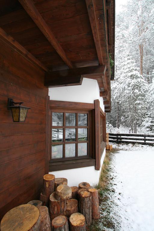 B&B Villa Dolomites Hut サン・ヴィジリオ・ディ・マレッベ エクステリア 写真